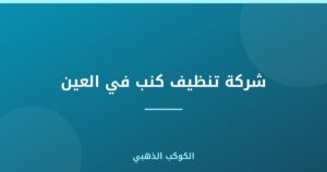 شركة تنظيف كنب في العين