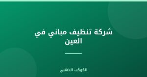 شركة تنظيف مباني في العين