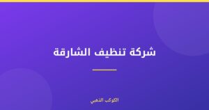 شركة تنظيف الشارقة