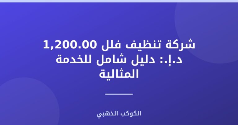 شركة تنظيف فلل : دليل شامل للخدمة المثالية