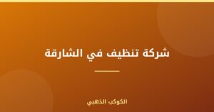 شركة تنظيف في الشارقة