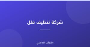 شركة تنظيف فلل