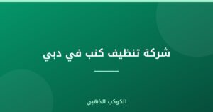 شركة تنظيف كنب في دبي