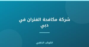 شركة مكافحة الفئران في دبي