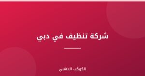 شركة تنظيف في دبي
