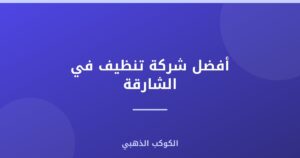 أفضل شركة تنظيف في الشارقة