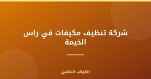 شركة تنظيف مكيفات في راس الخيمة