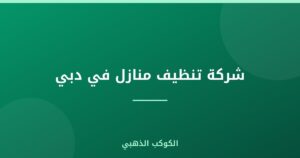 شركة تنظيف منازل في دبي