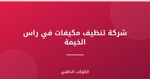 شركة تنظيف مكيفات في راس الخيمة