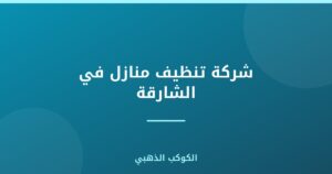 شركة تنظيف منازل في الشارقة