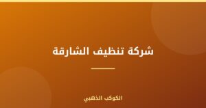 شركة تنظيف الشارقة