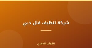 شركة تنظيف فلل دبي