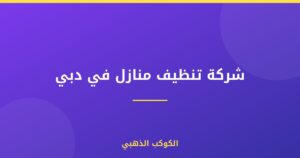شركة تنظيف منازل في دبي
