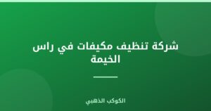 شركة تنظيف مكيفات في راس الخيمة