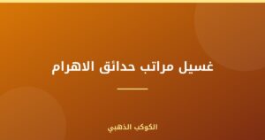 غسيل مراتب حدائق الاهرام