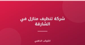 شركة تنظيف منازل في الشارقة