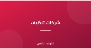 شركات تنظيف