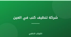 شركة تنظيف كنب في العين |0543690242