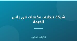 شركة تنظيف مكيفات في راس الخيمة