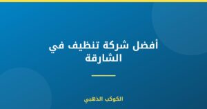 أفضل شركة تنظيف في الشارقة