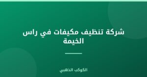 شركة تنظيف مكيفات في راس الخيمة
