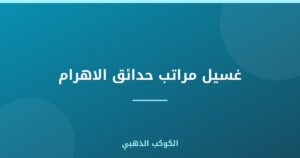 غسيل مراتب حدائق الاهرام