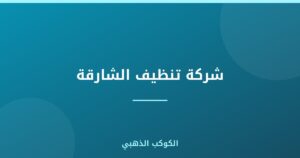 شركة تنظيف الشارقة