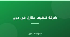 شركة تنظيف منازل في دبي