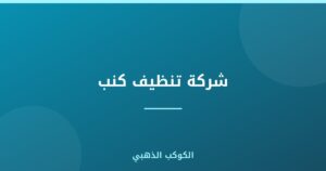 شركة تنظيف كنب