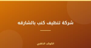 شركة تنظيف كنب بالشارقه