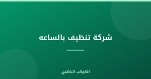 شركة تنظيف بالساعه