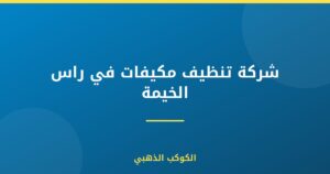 شركة تنظيف مكيفات في راس الخيمة