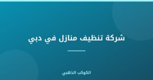 شركة تنظيف منازل في دبي