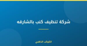شركة تنظيف كنب بالشارقه
