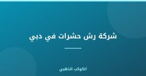 شركة رش حشرات في دبي |0543690242