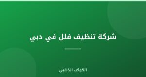 شركة تنظيف فلل في دبي | 0543690242