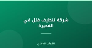 شركة تنظيف فلل في الفجيرة | 0543690242