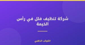 شركة تنظيف فلل في رأس الخيمة | 0543690242