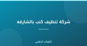 شركة تنظيف كنب بالشارقه