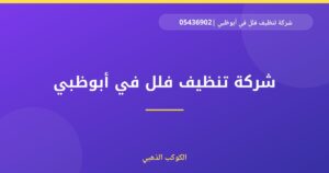 شركة تنظيف فلل في أبوظبي |0543690242