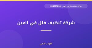 شركة تنظيف فلل في العين |0543690242