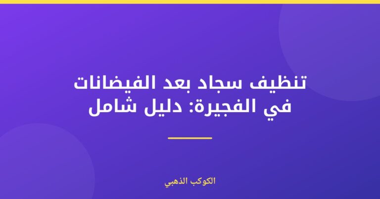 تنظيف سجاد بعد الفيضانات في الفجيرة: دليل شامل